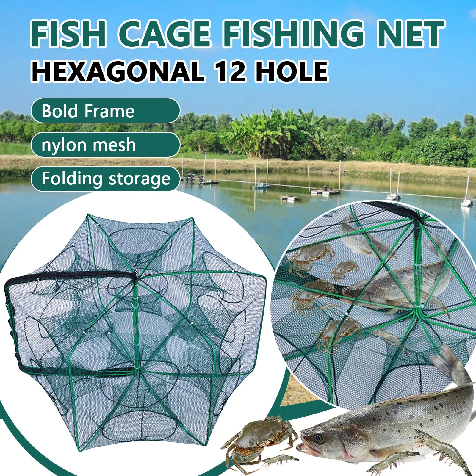 Folding lobster cage, fish, shrimp crayfish crab