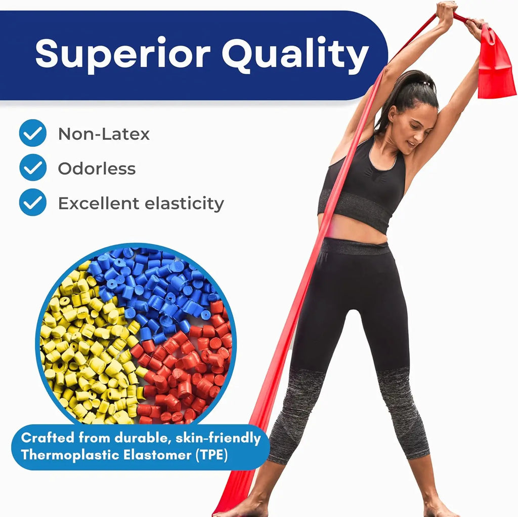 3-Level Resistance Bands Set with Guide & Bag