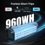 2000W Electric Bike, 48V Removable Battery, 115Nm E bike 20*4.0 Inch Tire