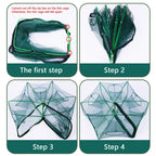 Folding lobster cage, fish, shrimp crayfish crab