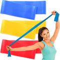 3-Level Resistance Bands Set with Guide & Bag