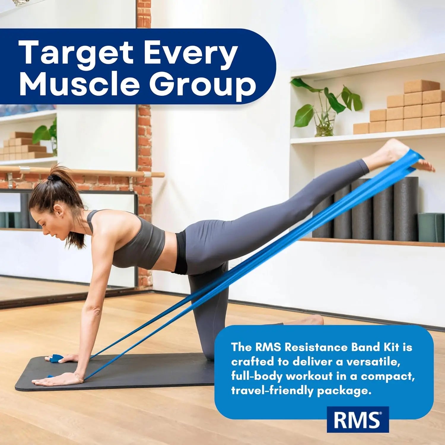 3-Level Resistance Bands Set with Guide & Bag