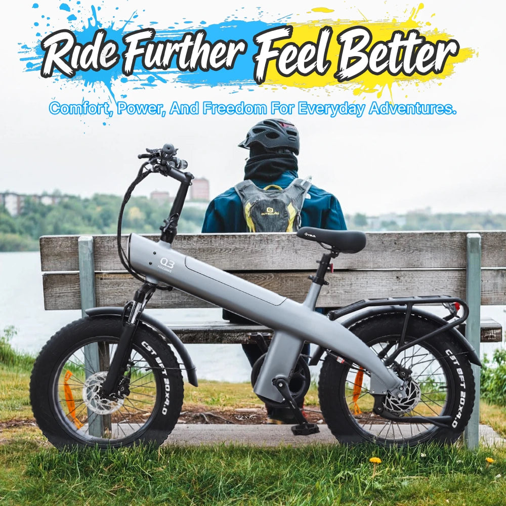 2000W Electric Bike, 48V Removable Battery, 115Nm E bike 20*4.0 Inch Tire