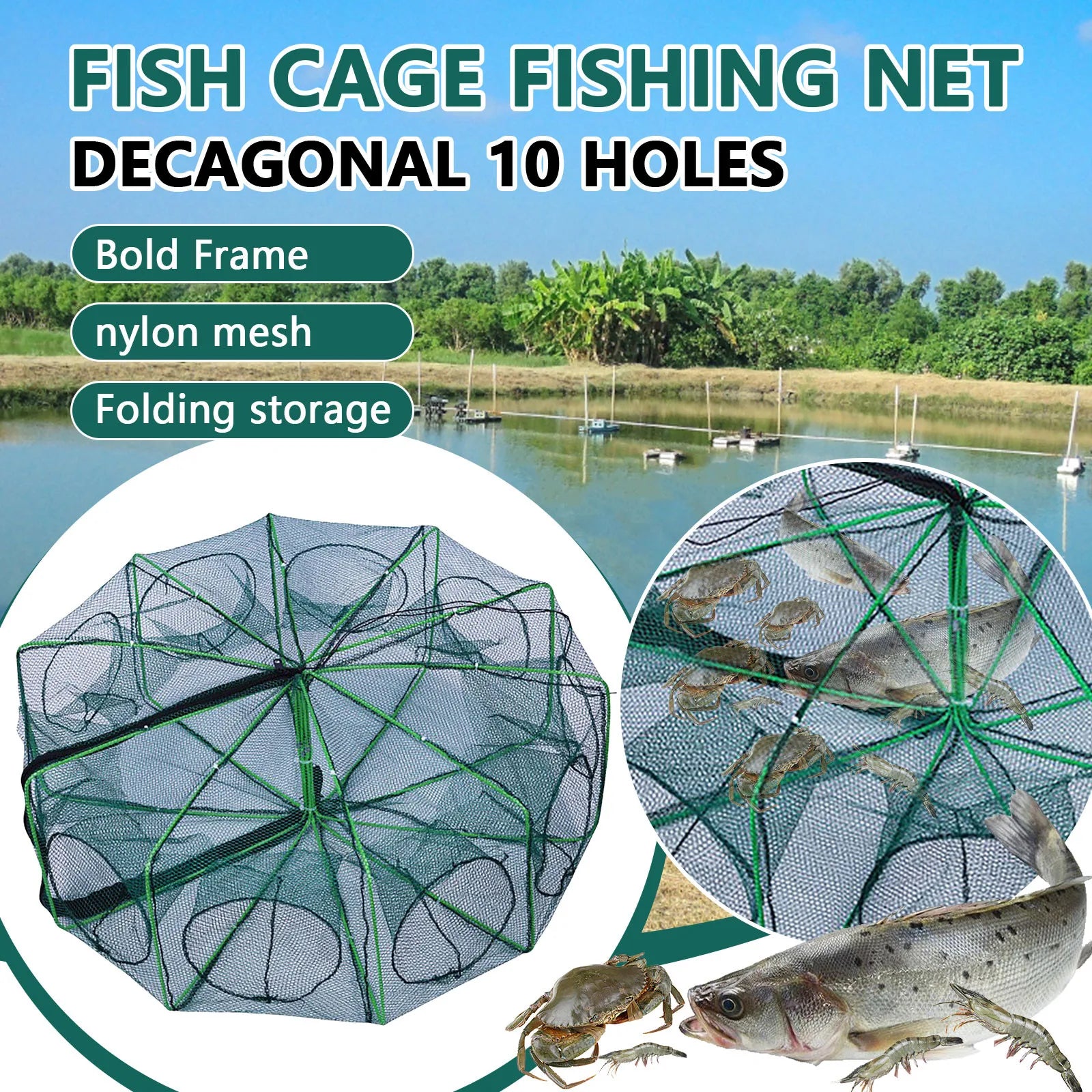 Folding lobster cage, fish, shrimp crayfish crab