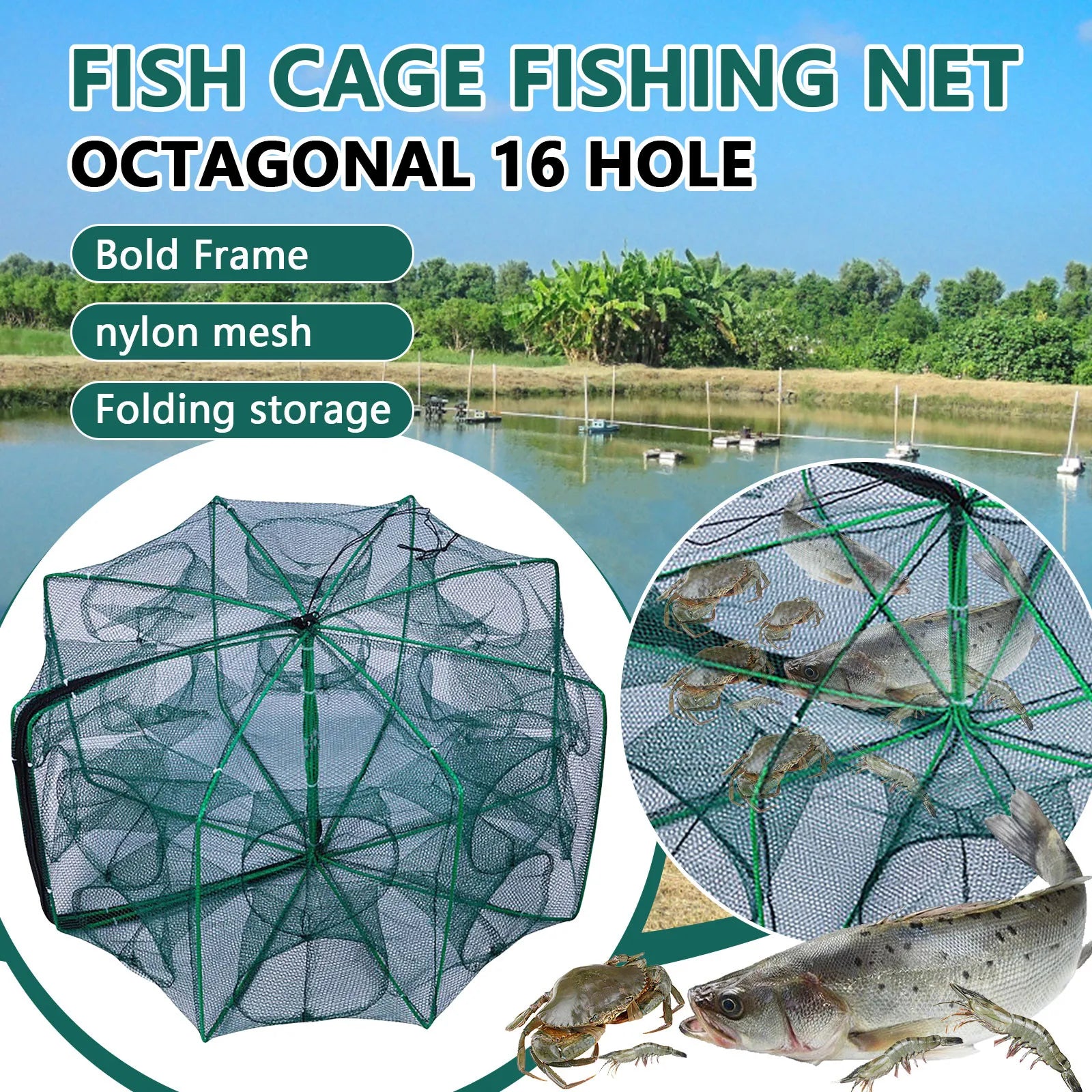 Folding lobster cage, fish, shrimp crayfish crab
