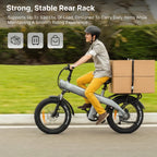 2000W Electric Bike, 48V Removable Battery, 115Nm E bike 20*4.0 Inch Tire