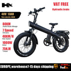 2000W Electric Bike, 48V Removable Battery, 115Nm E bike 20*4.0 Inch Tire