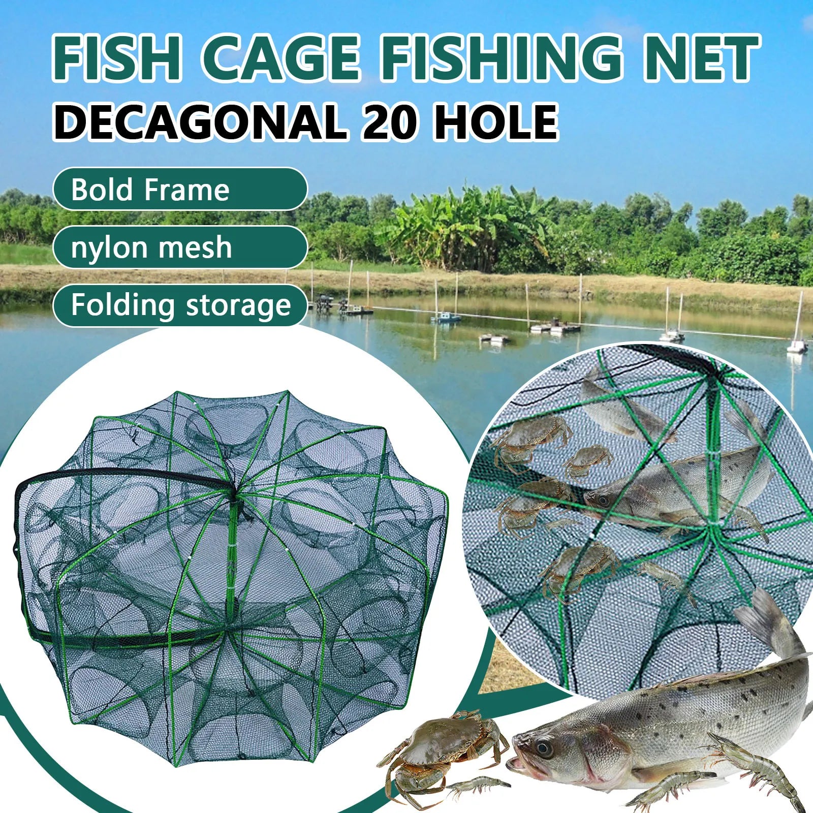 Folding lobster cage, fish, shrimp crayfish crab