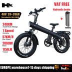 2000W Electric Bike, 48V Removable Battery, 115Nm E bike 20*4.0 Inch Tire