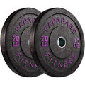 Weight Plates 2-Inch Weights Plates 10-600lbs