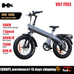2000W Electric Bike, 48V Removable Battery, 115Nm E bike 20*4.0 Inch Tire